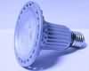 LED PAR30