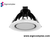 LED Downlight