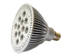 LED PAR