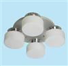 Ceiling Lamps,PC-1195-4