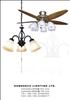 ceiling fan，linghting， home, 
