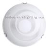 ceiling light/ ceiling lamp/ luminaires for ceiling 