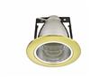 Vertical downlight with two brackets