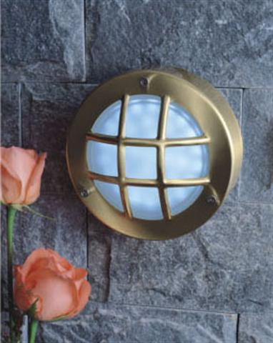 Stainless Steel with Anti-Brass Effect Outdoor Wall Light