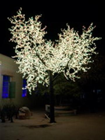 LED tree light series
