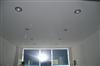 LED ceiling lights