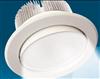 Dimmable directional (angle adjustable) with CE power downlight