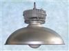factory lamp BK-X005