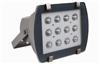 LED Flood Light