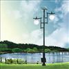 Solar and Electric Supply LED Yard Light  TV1102LS-16
