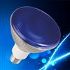 Reflector Lamp-PAR38 Blue/energy saving lamp