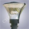 Induction Lamp Courtyard Light CHTY-008