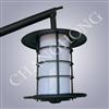 Induction Lamp Courtyard Light CHTY-001