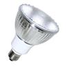 Energy Saving Lamp  PAR30 ESL