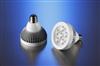P30 LED Light Bulb