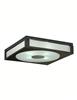 Ceiling Light C-654L-4CH-B