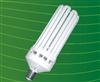 Energy Saving Lamp 8U 200W