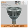 12W high power dimmable Cree LED PAR30 lamp
