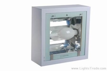 Induction Gas Station lighting-induction light source