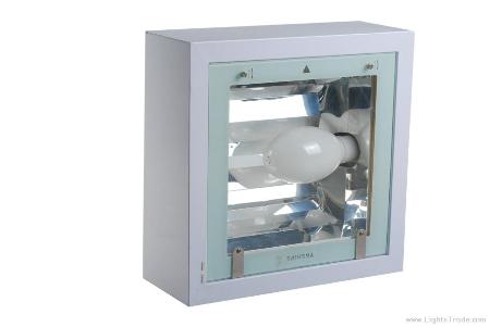 Induction Gas Station lighting-induction light source