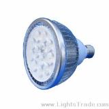 18W LED PAR38 Lamp