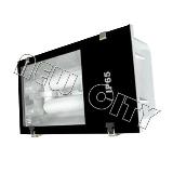 NEW CITY Induction lamp Series TL002