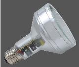 R80 Energy Saving Lamp