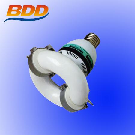 Integrative Electrodeless Lamp