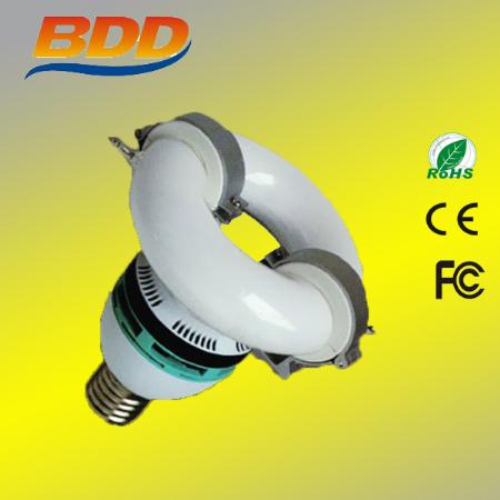 Integrative Electrodeless Lamp