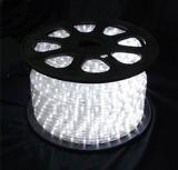 LED Rope Light - White 100M/carton