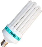 U Shape Energy Saving Light ESBT6-8U01