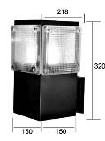 YJ-2195 Outdoor Wall lamp