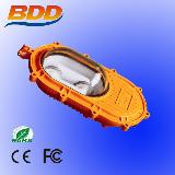 Explosion-proof lvd induction lamp0