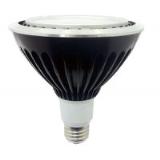 PAR38 LED Lamp