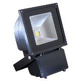 Easylight LED Projecting Light 100W