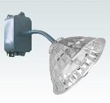 40W-250W Induction Lamp Wall Lighting