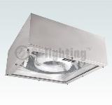 Gas Station Light Induction Ceiling Lamp 80W-250W