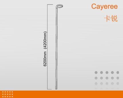 LED pedestrian lights， Cayeree，LED，40W/80W