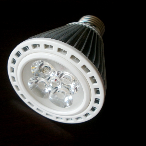 220VAC Input Voltage and High lumen Edison LED PAR20 bulbs