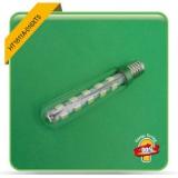 SMD BULBS LAMPS