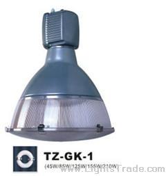 surpius-induction lamp