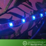 RGB LED Strip Epoxy Waterproof U-shaped tube,5050SMD RGB 