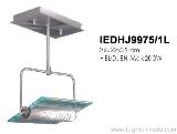 Huayi Export Modern Pendant Light IEDHJ9975/1L, Succinct and gentle. 