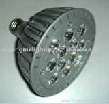 High Power LED Lamp PAR38