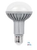 LED R25 Bulb 9W