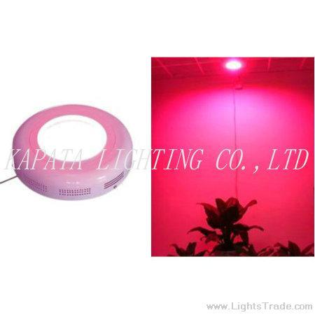LED growing panel 90W, LED grow light, grow light, 2200Lumen, Kapata Lighting