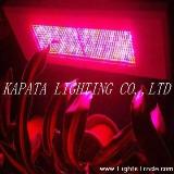 High power led grow lamp 600W, LED plant grow light, plant light,Kapata lighting