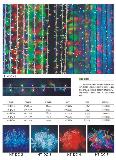 LED light