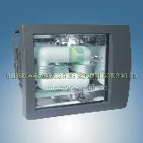 Flood lamp , Energy saving Low Frequency Electromagnetic Induction Lamp/
