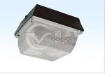 Ceiling Induction Light 